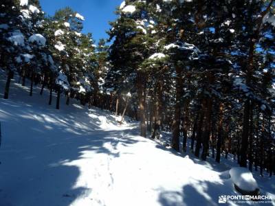 Ladera Mojonavalle-Bosques Canencia;robledondo bastones nordic walking senderismo almeria